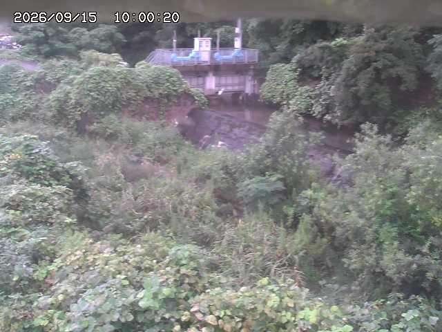 山白川３2026/09/15 14:20:00