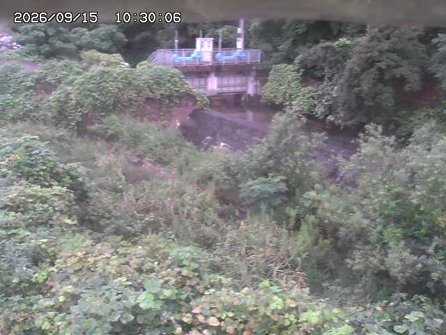 山白川３2026/09/15 14:20:00