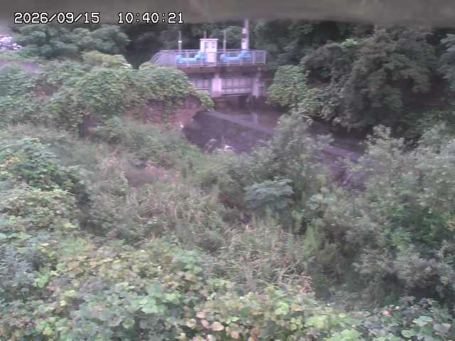 山白川３2026/09/15 14:20:00
