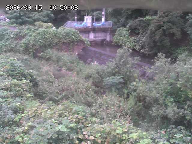 山白川３2026/09/15 14:20:00