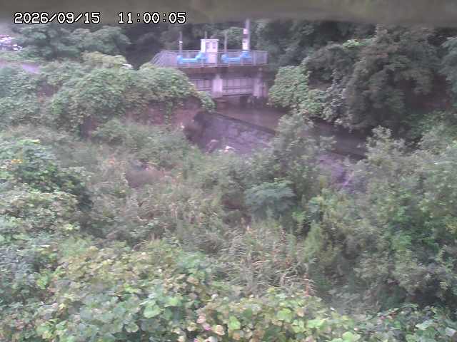 山白川３2026/09/15 14:20:00