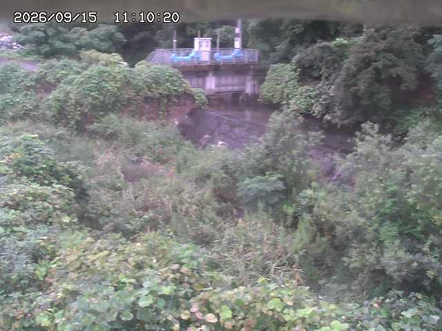 山白川３2026/09/15 14:20:00