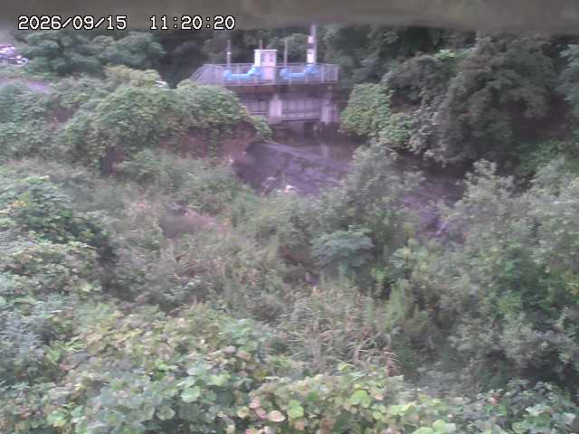 山白川３2026/09/15 14:20:00