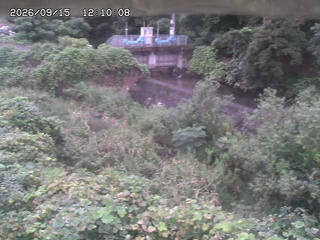 山白川３2026/09/15 14:20:00
