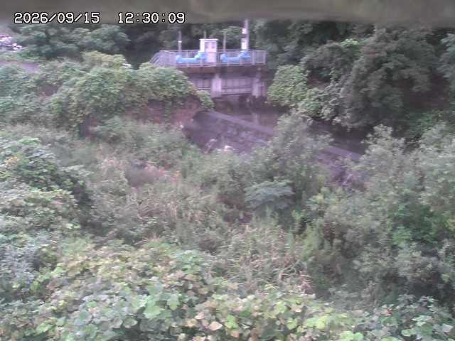 山白川３2026/09/15 14:20:00