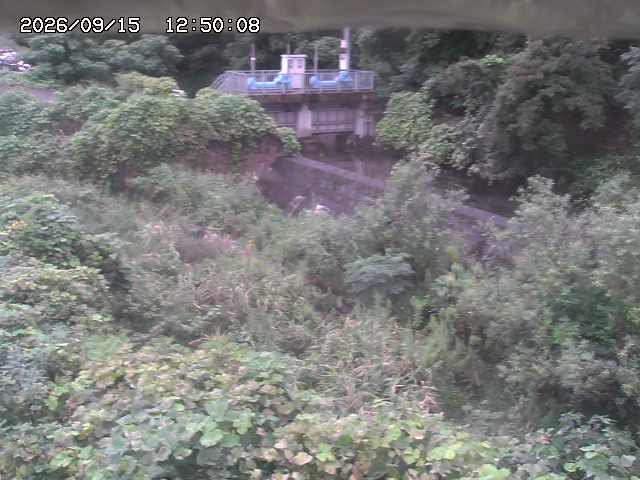 山白川３2026/09/15 14:20:00