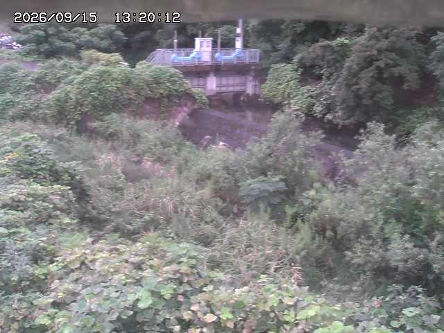 山白川３2026/09/15 14:20:00