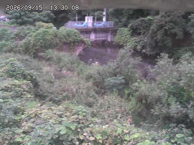 山白川３2026/09/15 14:20:00
