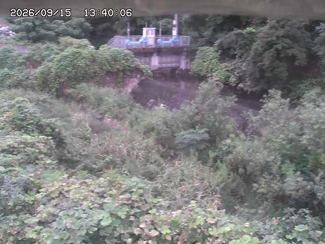 山白川３2026/09/15 14:20:00