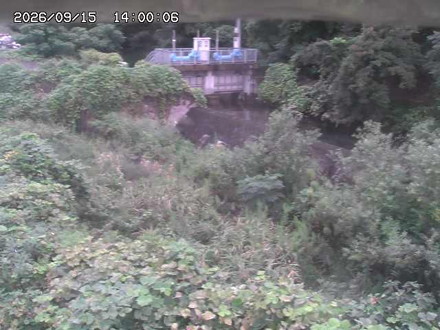 山白川３2026/09/15 14:20:00