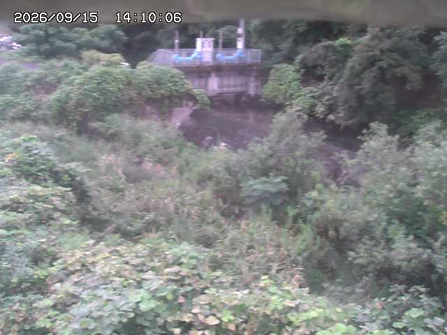 山白川３2026/09/15 14:20:00