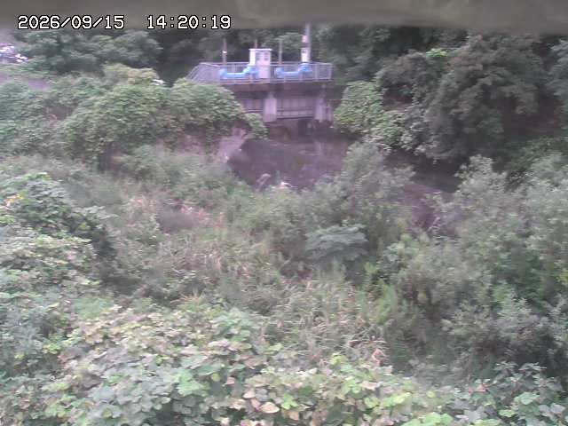 山白川３2026/09/15 14:20:00