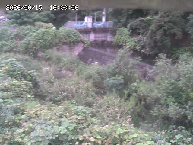 山白川３2026/09/16 16:40:00