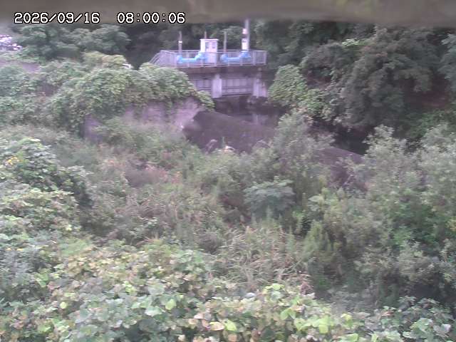 山白川３2026/09/16 16:40:00