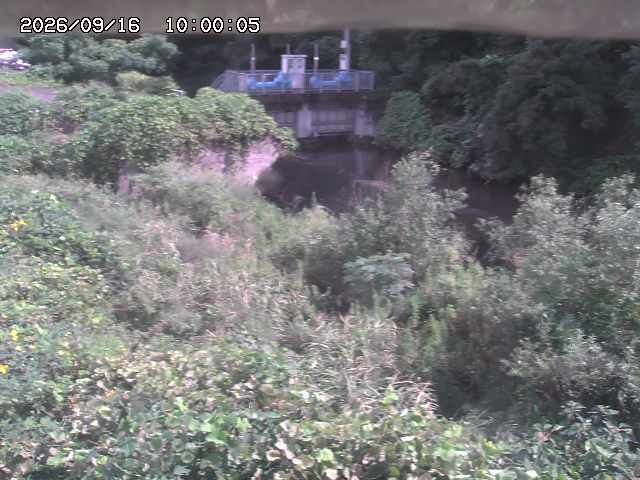 山白川３2026/09/16 16:40:00
