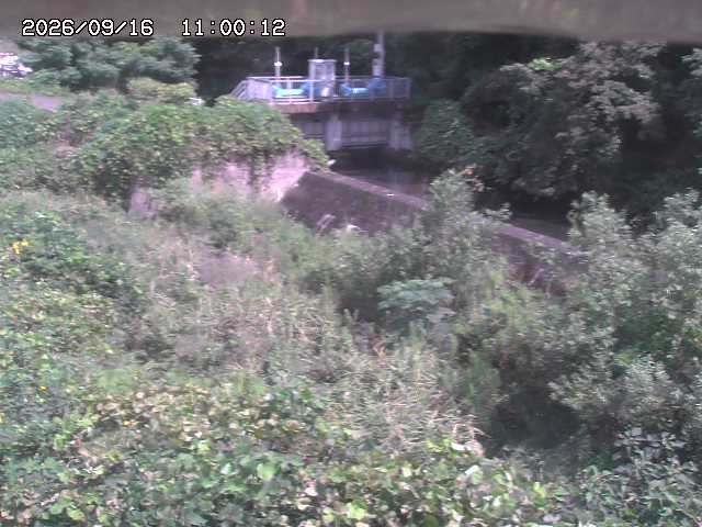 山白川３2026/09/16 16:40:00