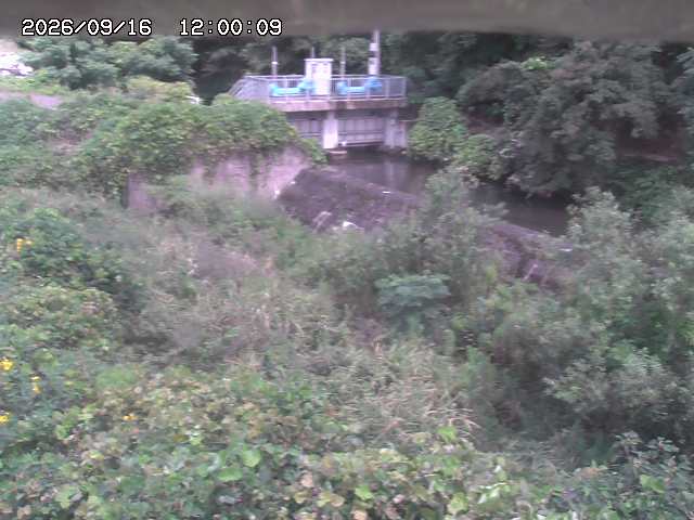 山白川３2026/09/16 16:40:00