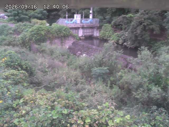 山白川３2026/09/16 16:40:00
