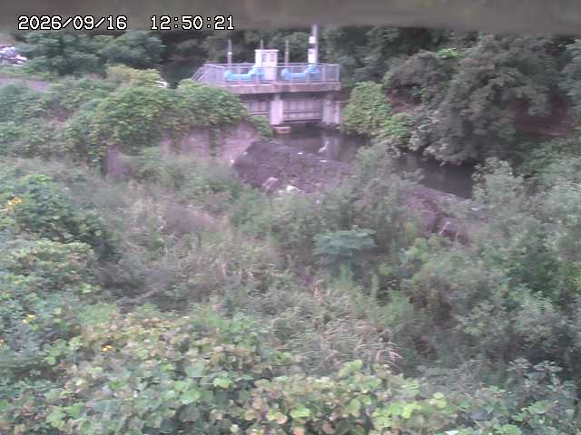 山白川３2026/09/16 16:40:00