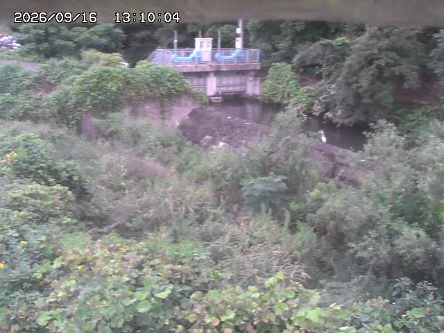 山白川３2026/09/16 16:40:00