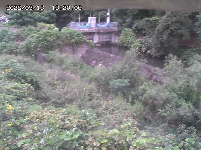 山白川３2026/09/16 16:40:00