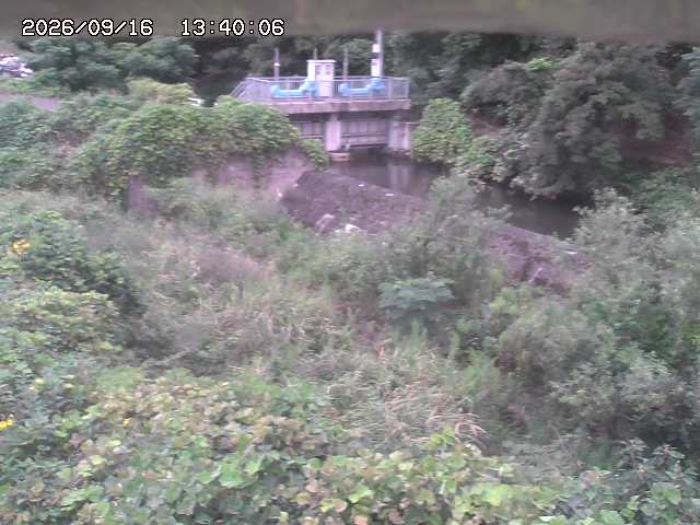 山白川３2026/09/16 16:40:00