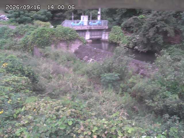 山白川３2026/09/16 16:40:00