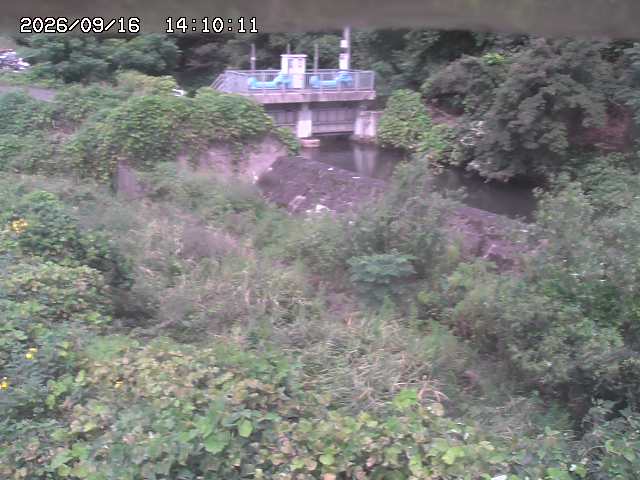 山白川３2026/09/16 16:40:00