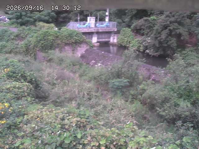 山白川３2026/09/16 16:40:00