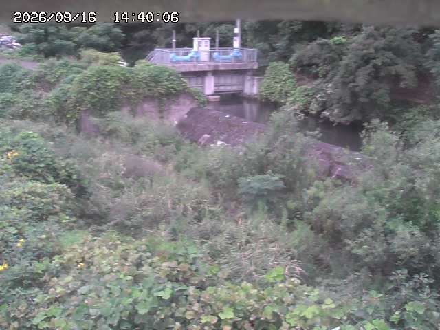 山白川３2026/09/16 16:40:00
