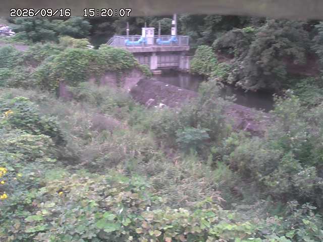 山白川３2026/09/16 16:40:00