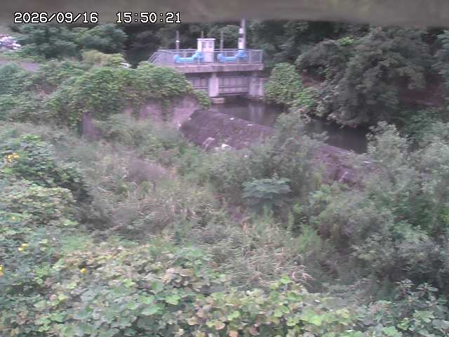 山白川３2026/09/16 16:40:00