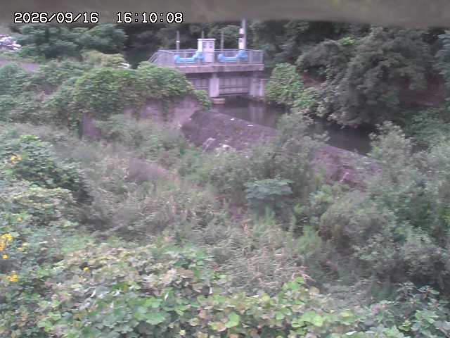 山白川３2026/09/16 16:40:00