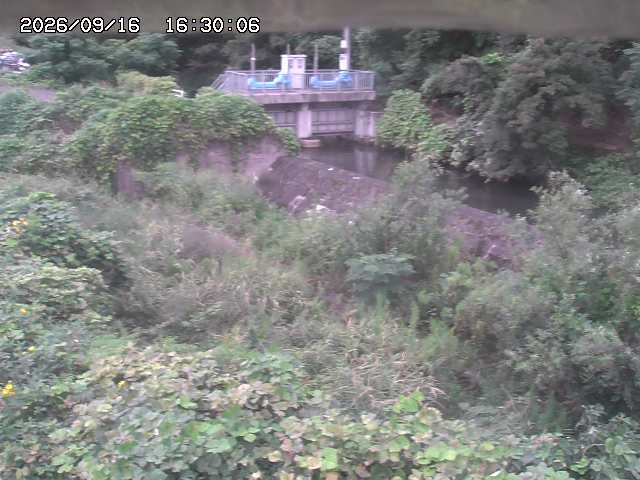 山白川３2026/09/16 16:40:00