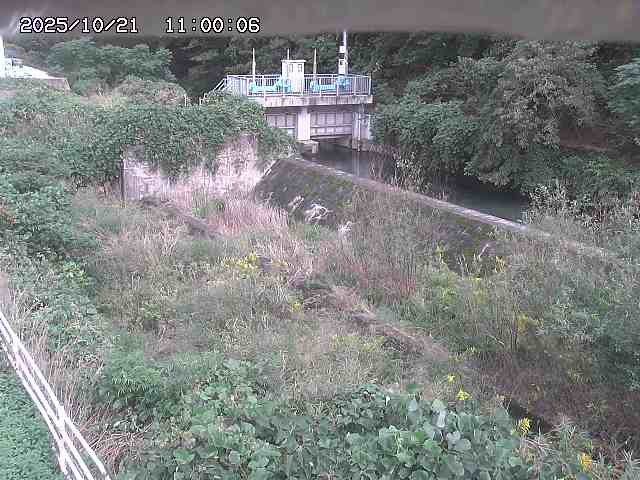 山白川３2025/10/22 11:30:00