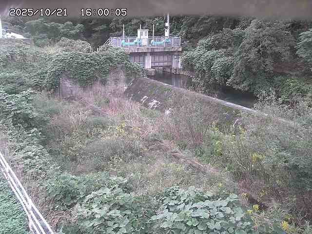 山白川３2025/10/22 11:30:00