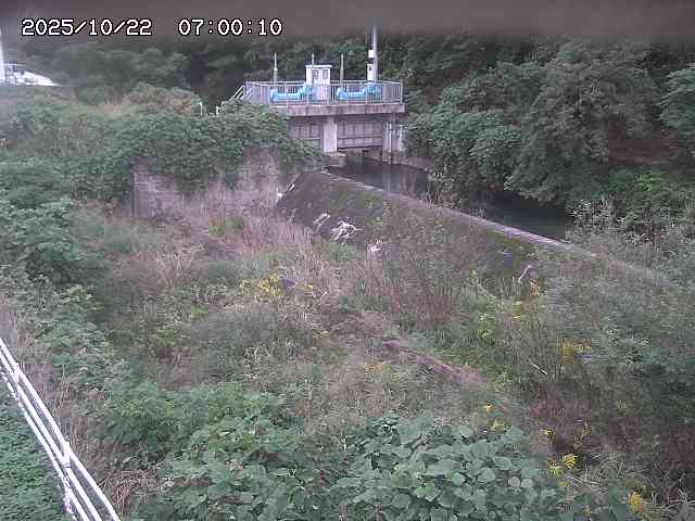 山白川３2025/10/22 11:30:00