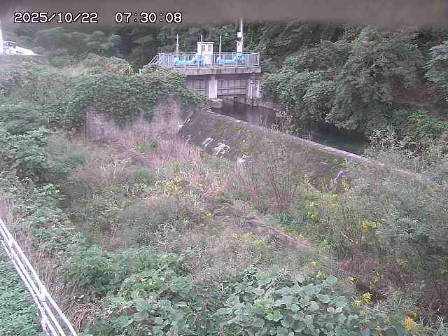 山白川３2025/10/22 11:30:00
