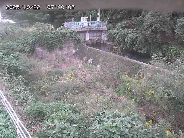 山白川３2025/10/22 11:30:00