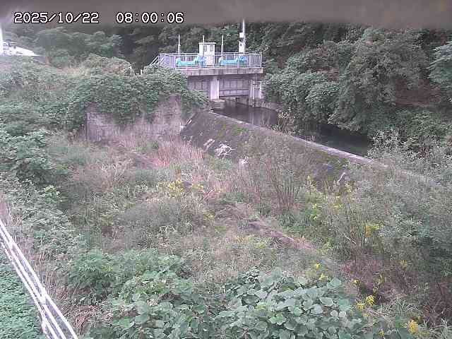 山白川３2025/10/22 11:30:00
