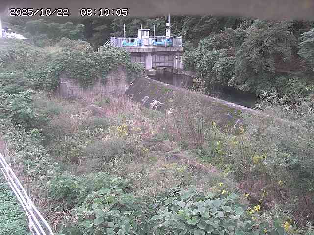 山白川３2025/10/22 11:30:00