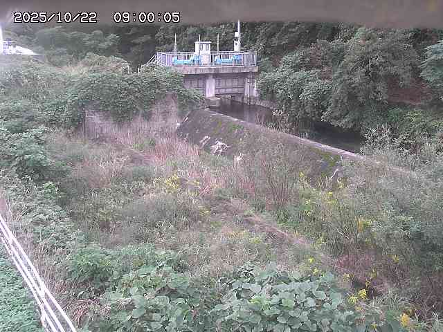 山白川３2025/10/22 11:30:00