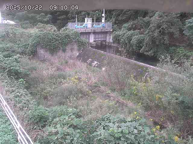 山白川３2025/10/22 11:30:00