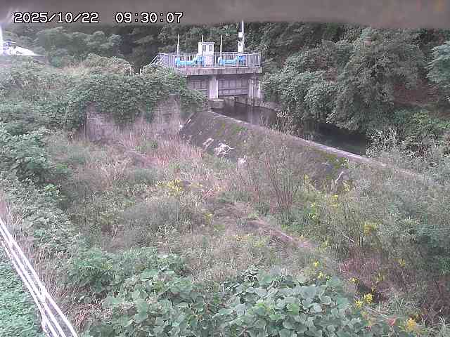 山白川３2025/10/22 11:30:00