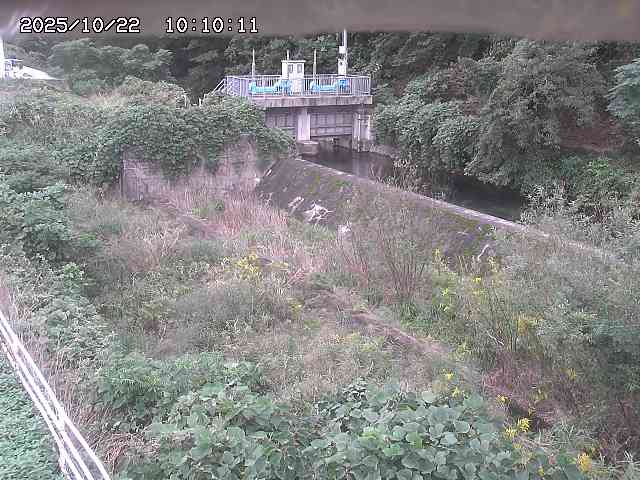 山白川３2025/10/22 11:30:00