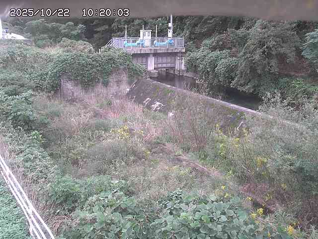 山白川３2025/10/22 11:30:00