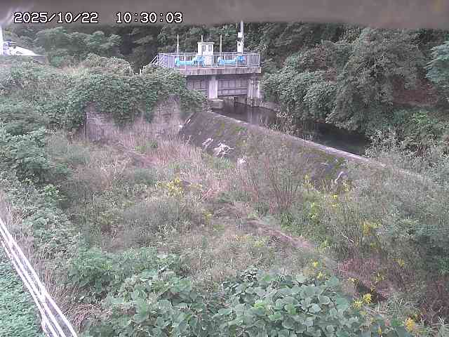 山白川３2025/10/22 11:30:00
