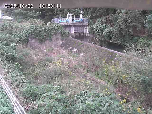 山白川３2025/10/22 11:30:00