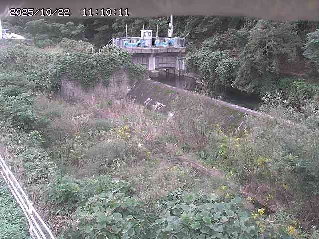 山白川３2025/10/22 11:30:00