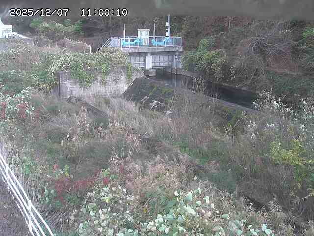 山白川３2025/12/08 11:30:00